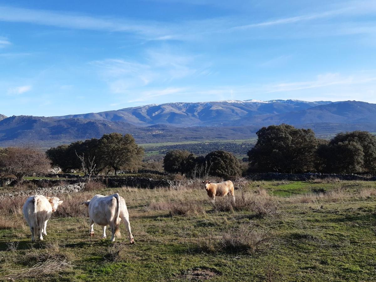 Casa Rural Mi Descanso Valdefuentes de Sangusín Extérieur photo